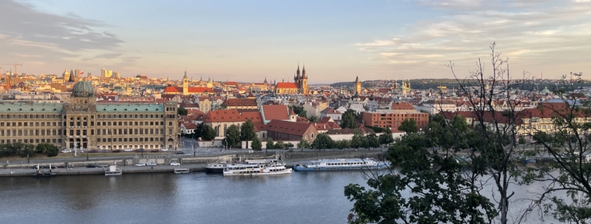 Ein Blick auf Prag mit traditionellen Dächern und modernen Gebäuden, flankiert von einem breiten Fluss und grünen Bäumen im Vordergrund.